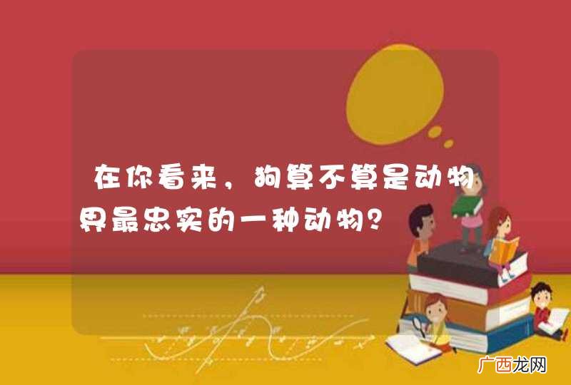 在你看来，狗算不算是动物界最忠实的一种动物？