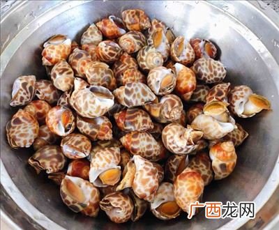 花螺冷水下锅煮几分钟,冷水白灼一般煮几分钟？