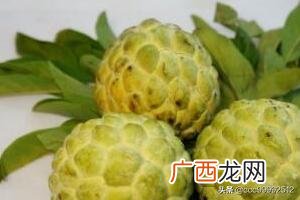 凤梨 释迦果减肥吗,释迦水果的常识有哪些？