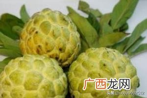 凤梨 释迦果减肥吗,释迦水果的常识有哪些？