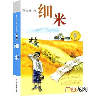 曹文轩的细米,曹文轩酒娃的主要内容？