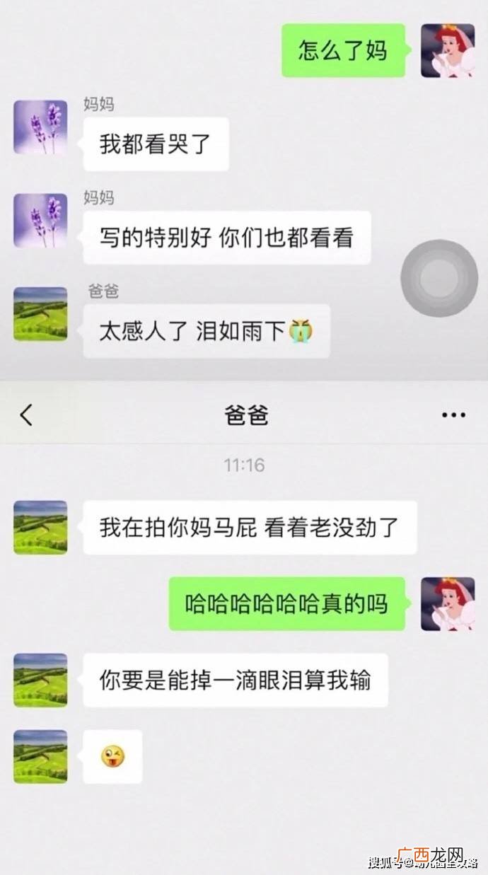 “男妈妈”是什么梗,秦始皇他妈是什么梗？