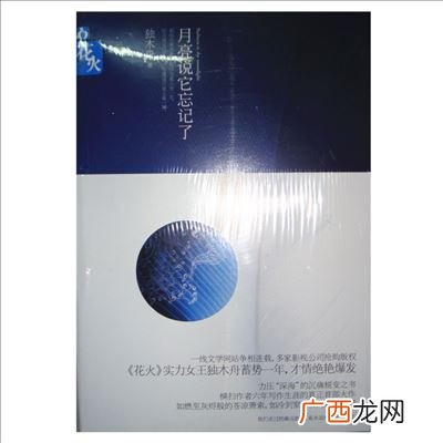 独木舟的小说月亮说它忘记了,独木舟有哪些好看的小说？
