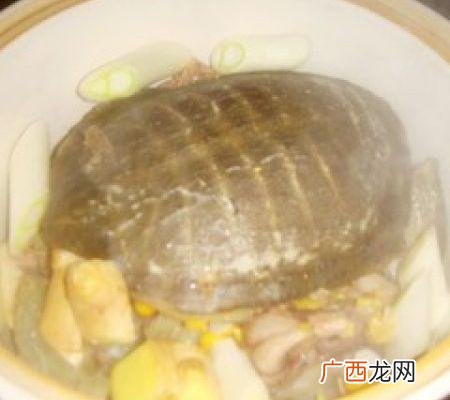 甲鱼的做法做法,甲鱼怎么做好吃又简单啊？