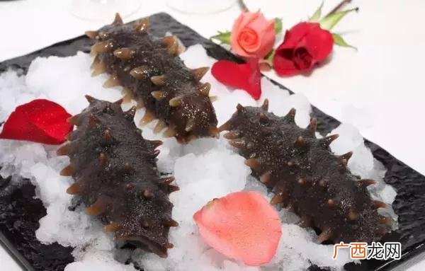 什么牌子的海参最好,海参哪个品牌好?