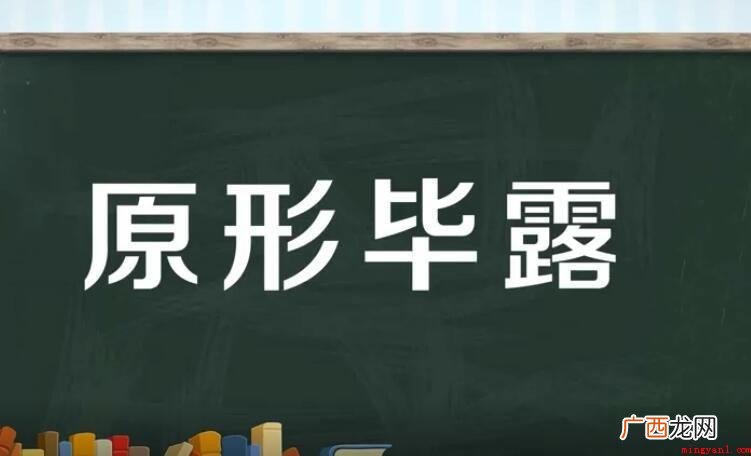 原形毕露的意思是什么