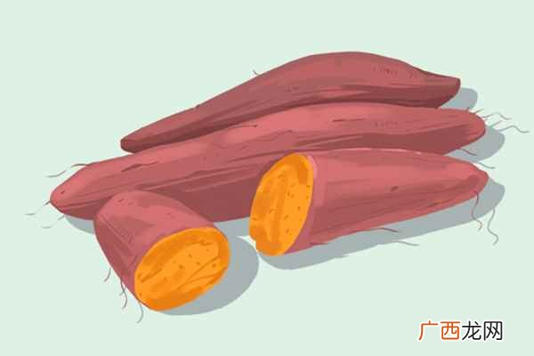 低热量食物是指含淀粉、糖类等碳水化合物类较少的食物 低热量食物有哪些主食