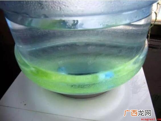 成桶水桶里边的青苔去除方式有什么 桶装水桶里面的青苔去除方法有哪些