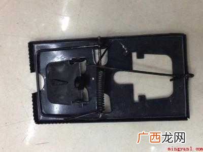 家里老鼠怎么消灭最彻底