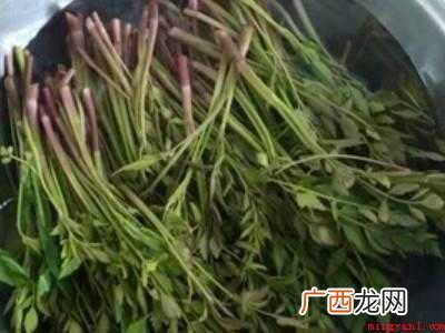 小叶芹怎么做好吃