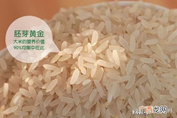 留胚米和大米的区别,煮熟了会竖起来的大米是什么米？