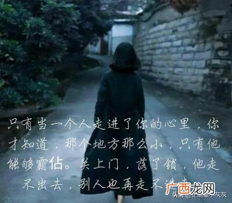 宋星辰是哪本小说中的人物,北倾的全部小说简介？