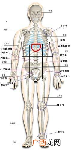 胸口在哪个位置,体恤衫胸标位置是多少？
