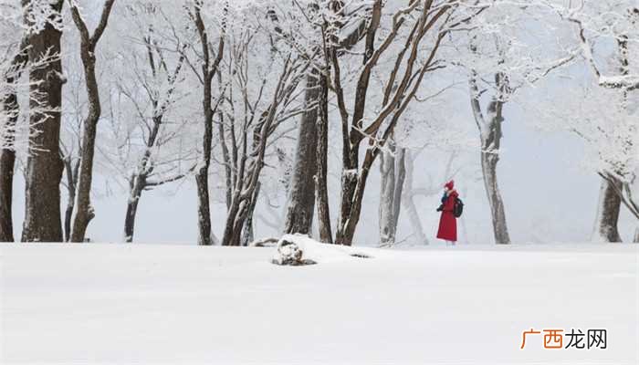 职场新人梦见大雪是什么意思 梦见大雪纷飞是什么征兆