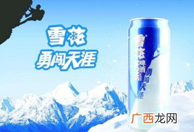 雪花勇闯天涯多少度,一瓶雪花勇闯天涯500毫升含多少酒精？