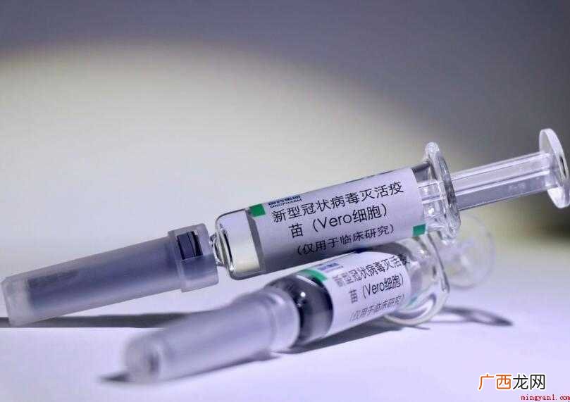 厦门新冠公司有哪些内容 厦门新冠公司有哪些