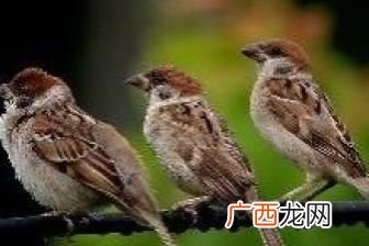 危险的反义词是什么,危险的反义词是什么？