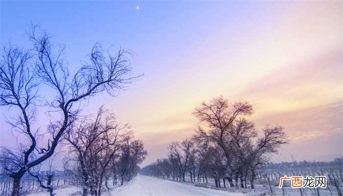 梦见下雪就会死人
