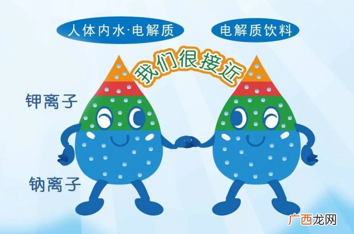 人体电解质怎么补充,牛怎么补充电解质？