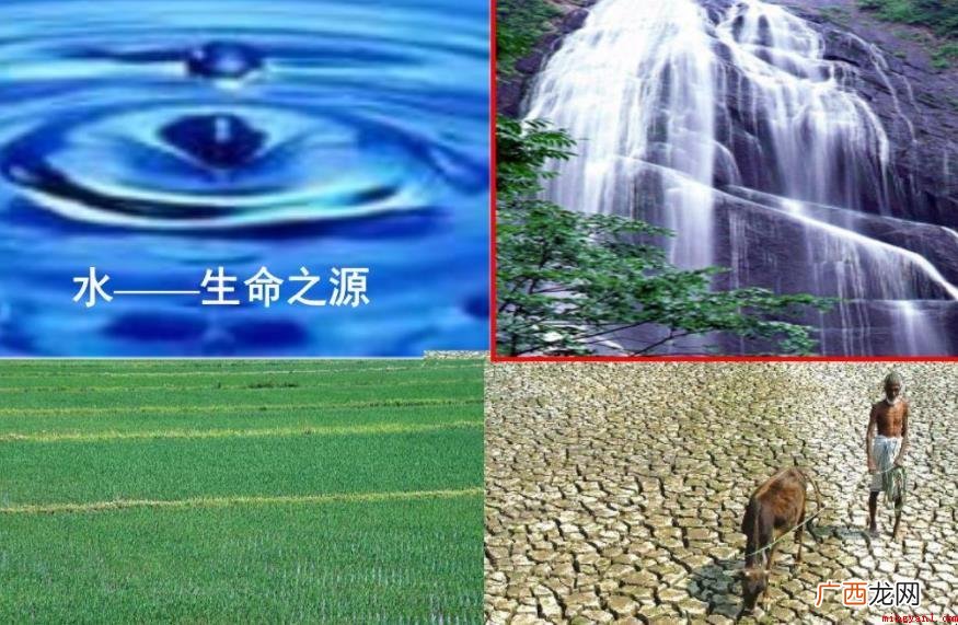 无机物营养成分有哪些