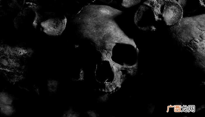 梦见一堆死人是什么兆头