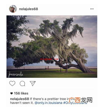Instagram一款功能齐全的图片分享软件 ig是什么软件？
