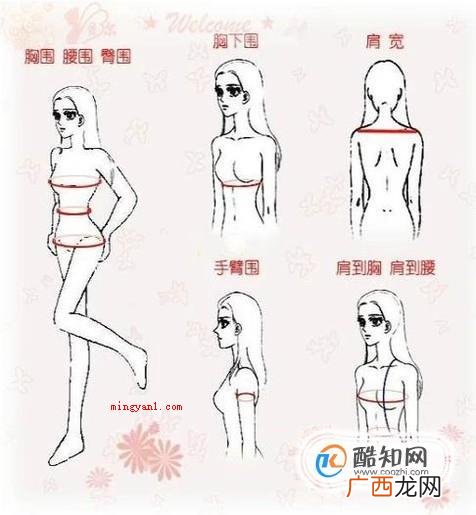 女生三围计算方法及操作步骤 女生标准三围是多少