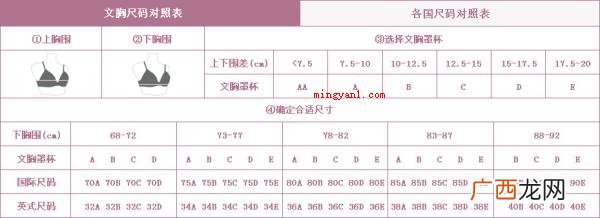 简略回应胸罩型号规格是由胸罩规格和罩杯尺寸两部分组成的 胸罩abcd尺码表怎么算