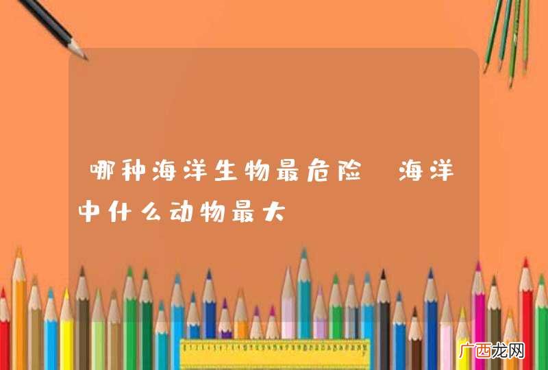 哪种海洋生物最危险，海洋中什么动物最大？