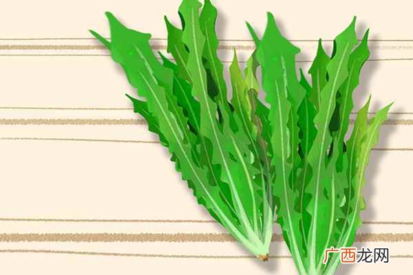 凉性蔬菜有哪些