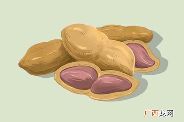 怀孕吃什么坚果好