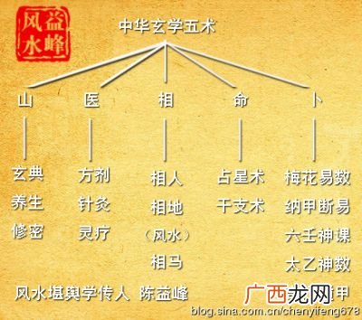 传统五术是什么样的,风水属于什么专业？