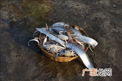 海钓鱼肉怎么挂,鱼扣怎么拴鱼？