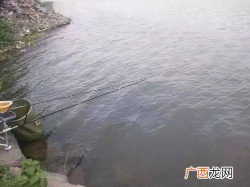 河流走水怎么钓鱼,走水用蚯蚓钓鱼技巧？