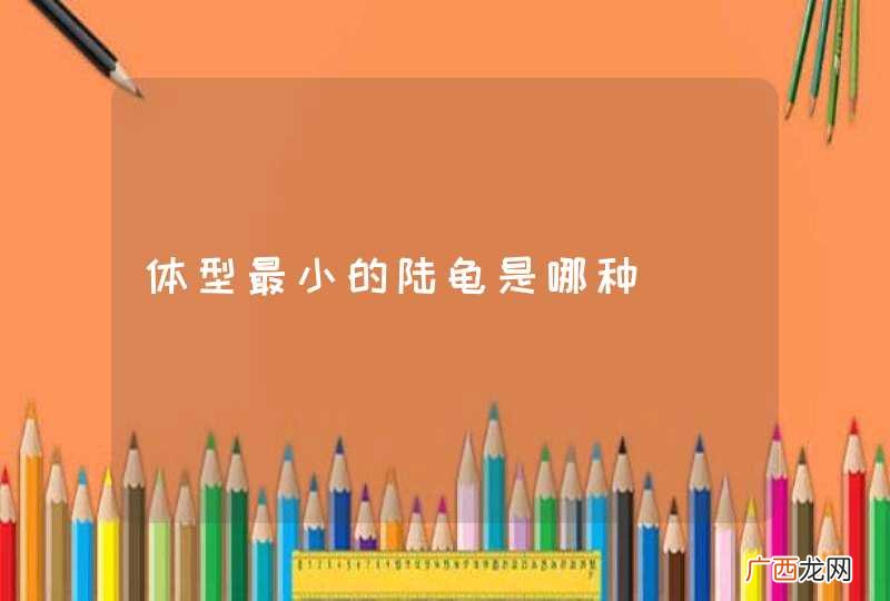 体型最小的陆龟是哪种