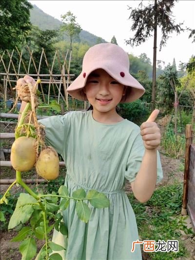 言不信者行不果的作者是谁,民无信不立的作者是谁？