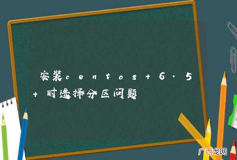 安装centos 6.5 时选择分区问题