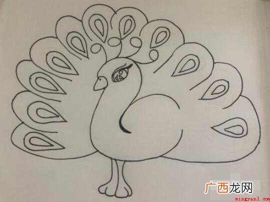 蓝孔雀怎么画?下边一起来瞧瞧吧 蓝孔雀怎么画