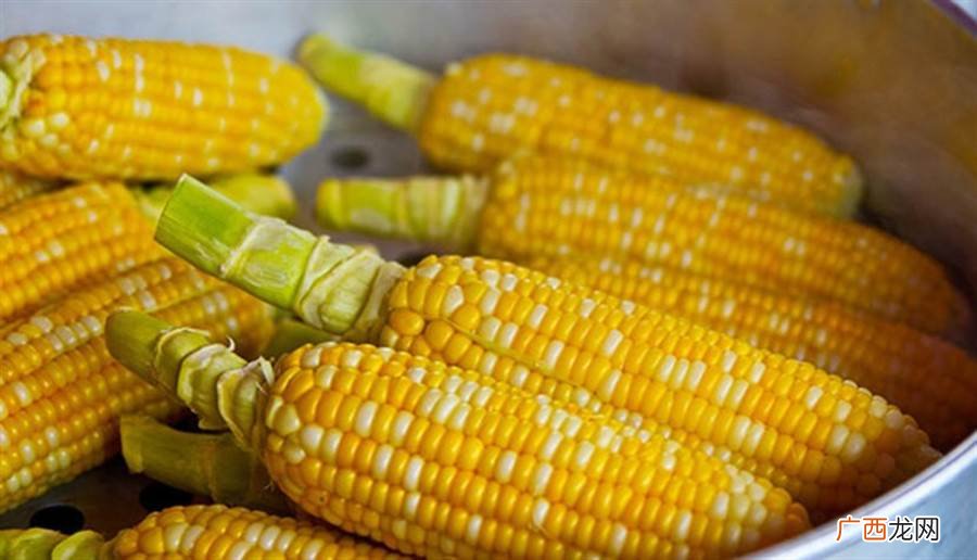 用玉米钓鱼可以吗,玉米鱼饵是白玉米还是黄玉米好？