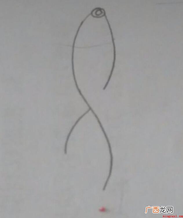 锦鲤简笔画怎么画