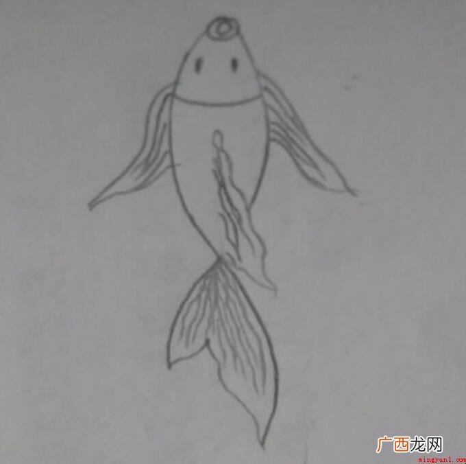 锦鲤简笔画怎么画