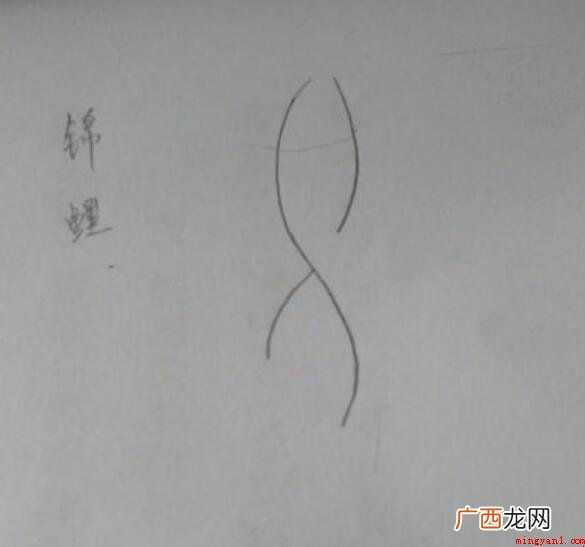 锦鲤简笔画怎么画