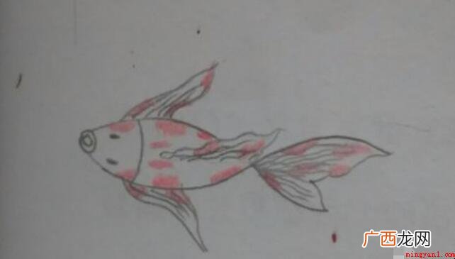 锦鲤简笔画怎么画