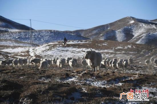天祝藏族自治县海拔,乌鞘岭火车站海拔多少米?