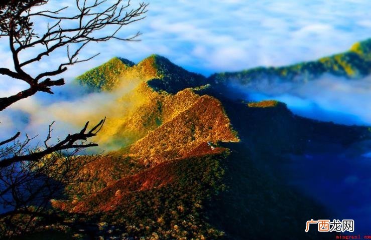 金佛山海拔多高_新闻频道 金佛山海拔多高