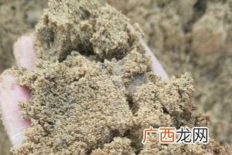 沙滩上的沙子又什么又什么,为什么沙滩上的沙子又细有粗？