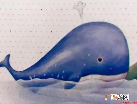 《蓝鲸的眼睛》的具体内容是什么 《蓝鲸的眼睛》的内容简介是什么