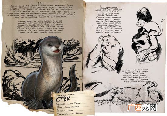 方舟生存进化水獭吃什么,方舟生存进化otter怎么驯服？