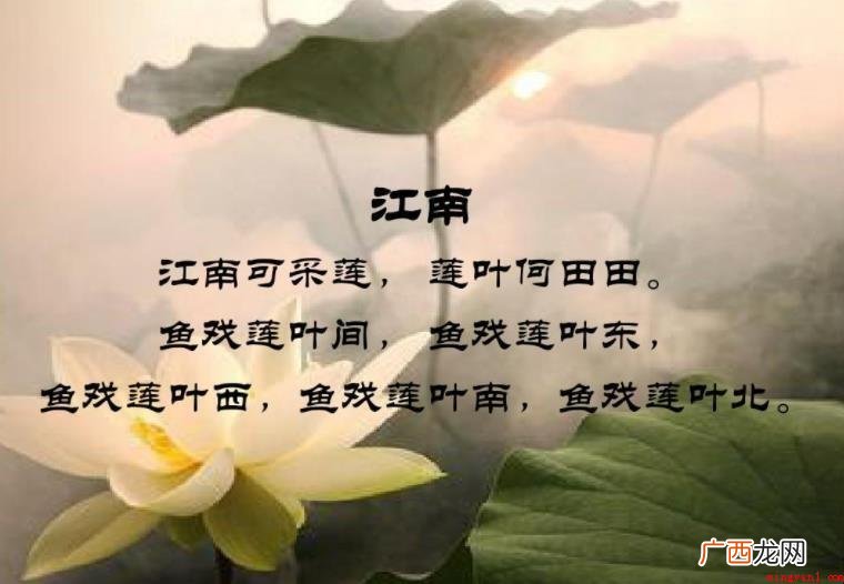 江南可采莲古诗词下一句是什么 江南可采莲古诗下一句是什么