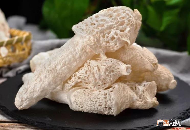 针对竹荪形状特点有什么 竹荪形态特征有哪些